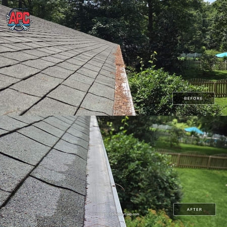 Is Your Richmond Home at Risk Without Professional Gutter Cleaning?